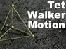 Walking 4-Tetrahedron